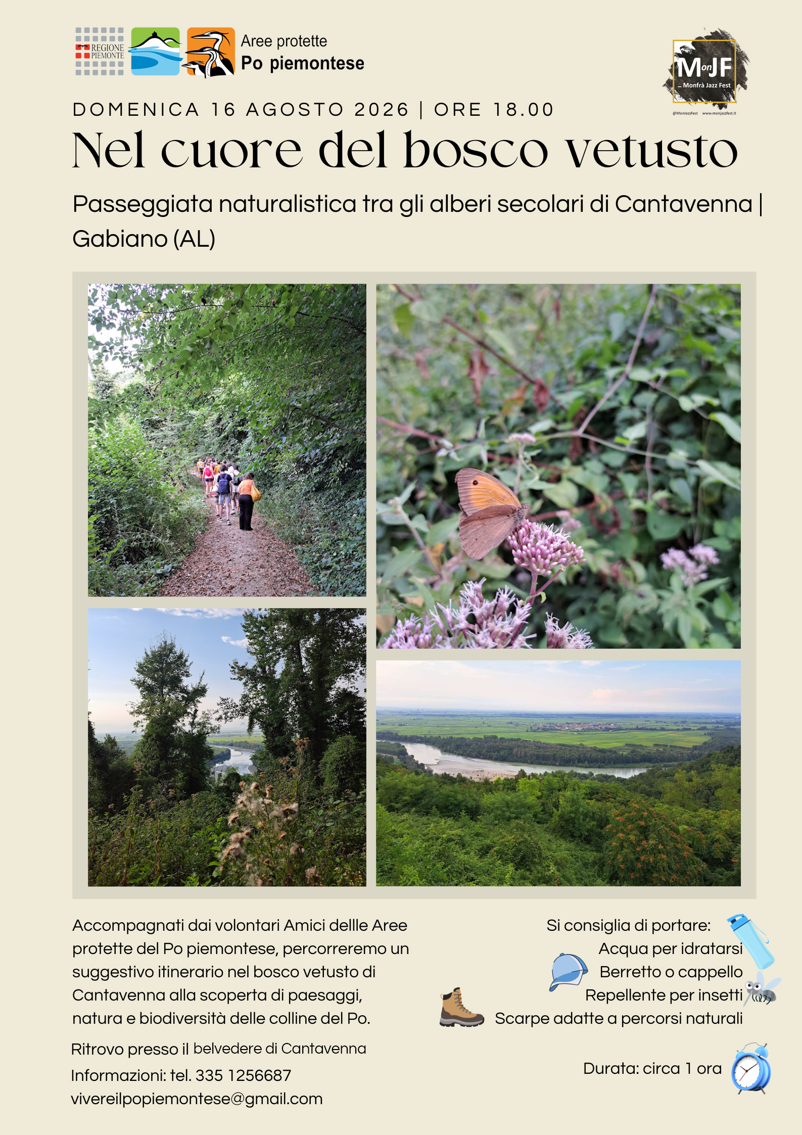 Nel cuore del bosco vetusto | Passeggiata naturalistica tra gli alberi secolari di Cantavenna